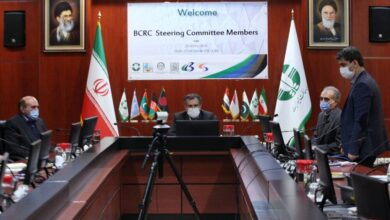 تصویر از کمیته راهبردی مرکز منطقه ای کنوانسیون های بازل و استکهلم منطقه ای ایران برگزار شد