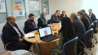 تصویر از جلسه بررسی امکان همکاری دوجانبه کشور فنلاند و دفتر منطقه ای کنوانسیون های بازل و استکهلم در ایران